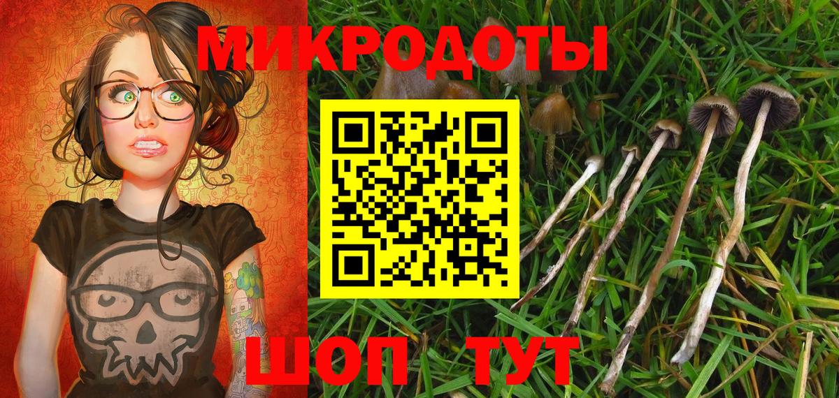 Белорецк  Псилоцибиновые грибы Psilocybine cubensis  Вход с VPN 